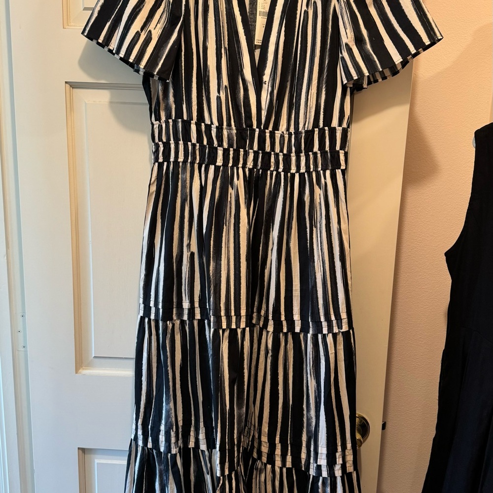 Anthropologie Black and White Striped Maxi Dress - Picture 4 of 6